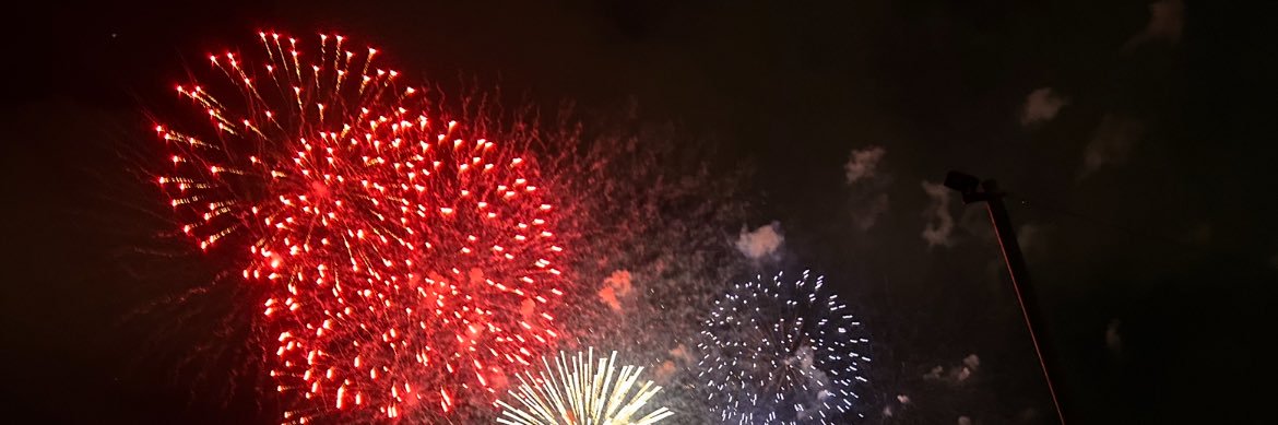 the_bloomer0's profile banner image