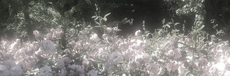 beo4eVvvaf45968's profile banner image