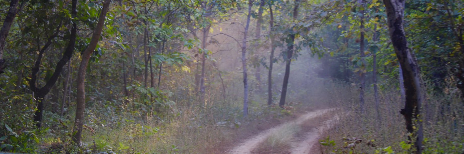 prathmesh07's profile banner image