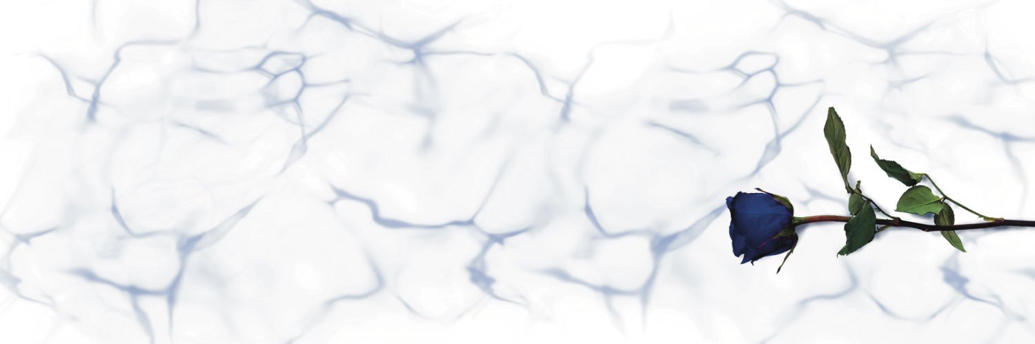 ivy banner