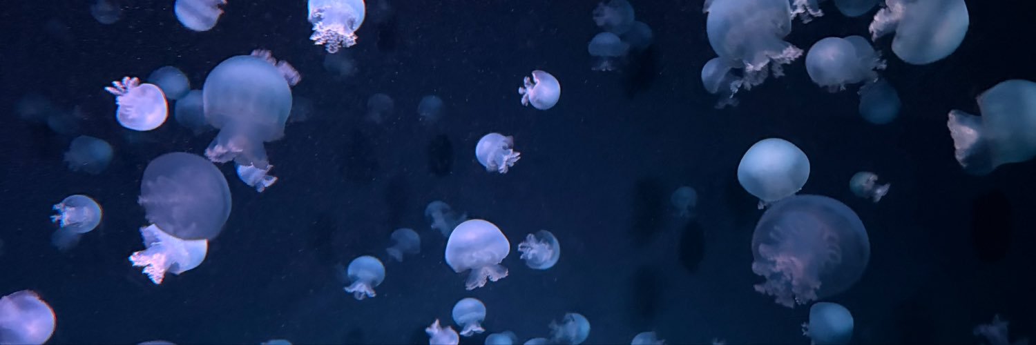 ryoxydol's profile banner image