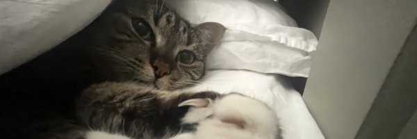 finlaybm Profile Banner