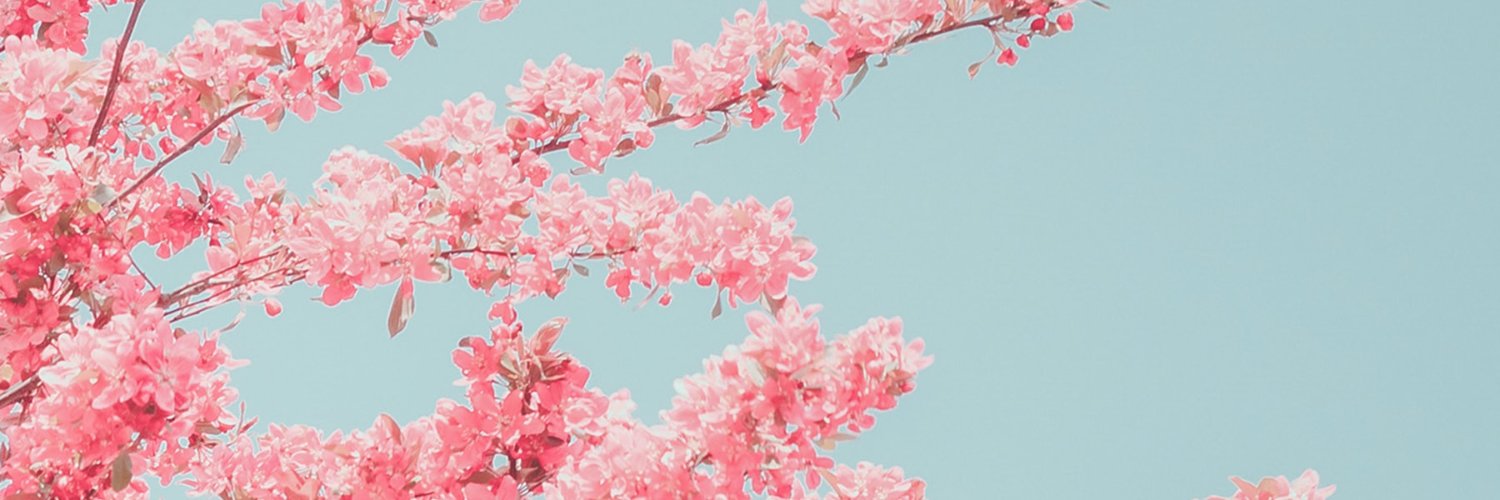 the_Tifee's profile banner image