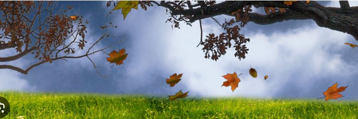 Amber naz banner
