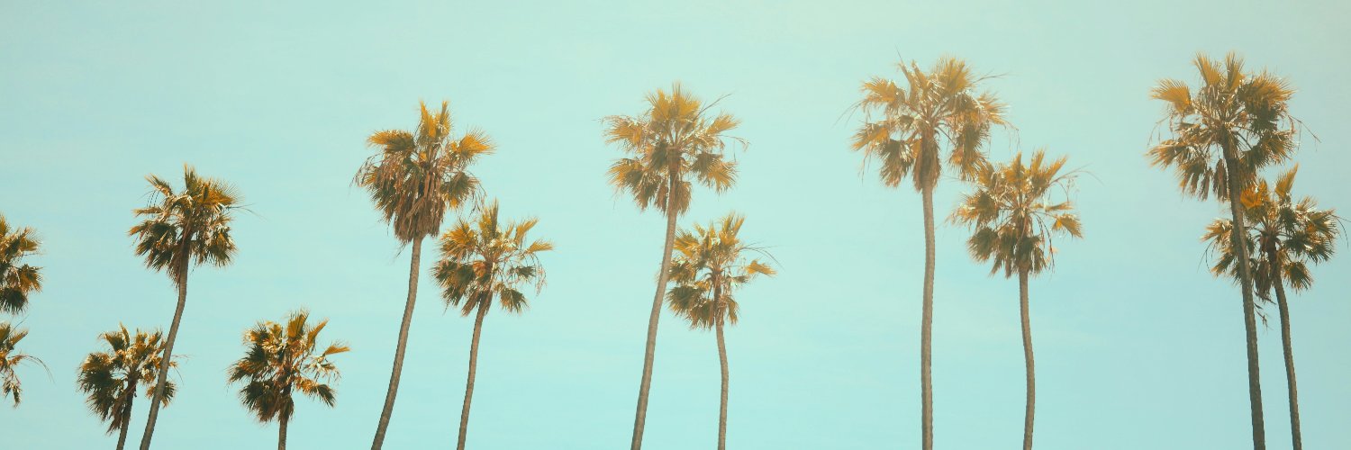 shi0nward's profile banner image