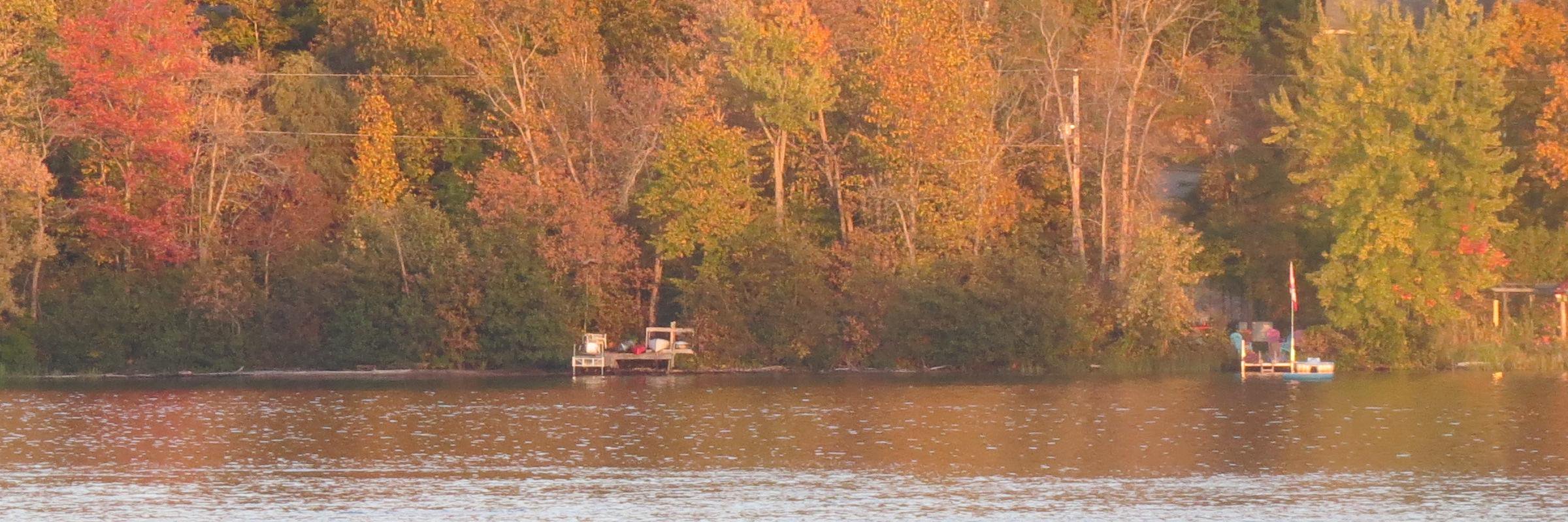 Errol Mendes LSM banner