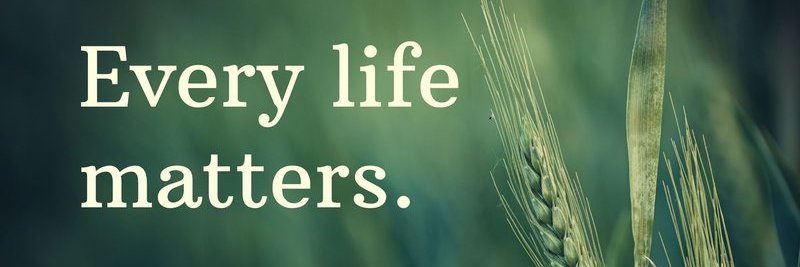 Safer Births Ireland banner