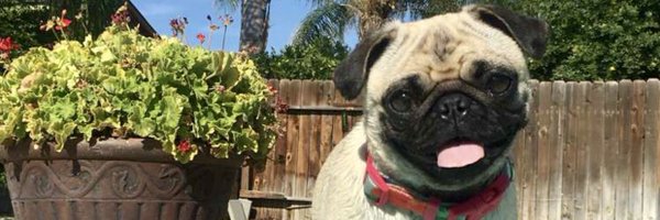 jacklyn0515 Profile Banner