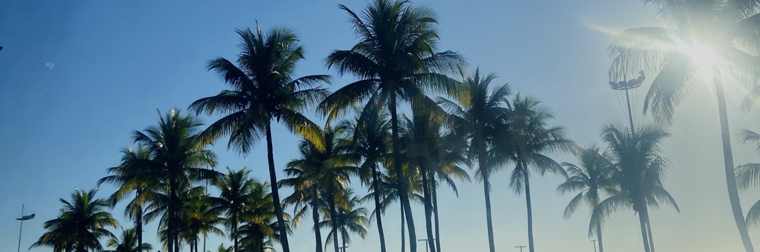 brrunopr's profile banner image