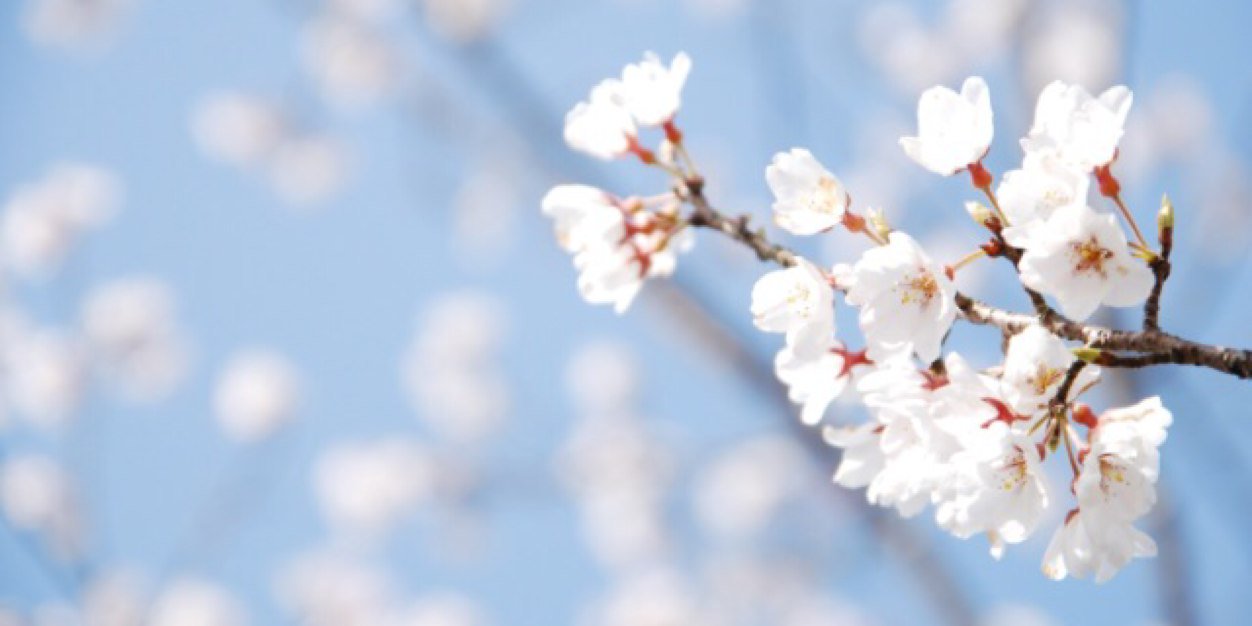 Rawan_M's profile banner image