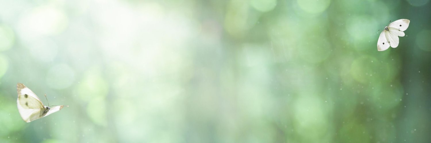 noctylume's profile banner image