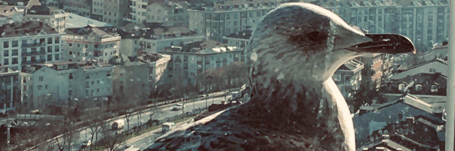 erkanertoren's profile banner image