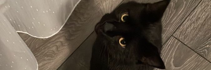 kenmafeb's profile banner image