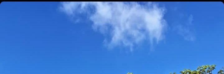 juris_devon banner