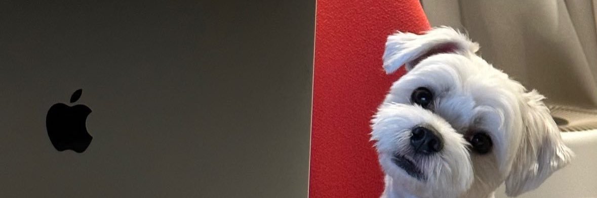 ddu banner