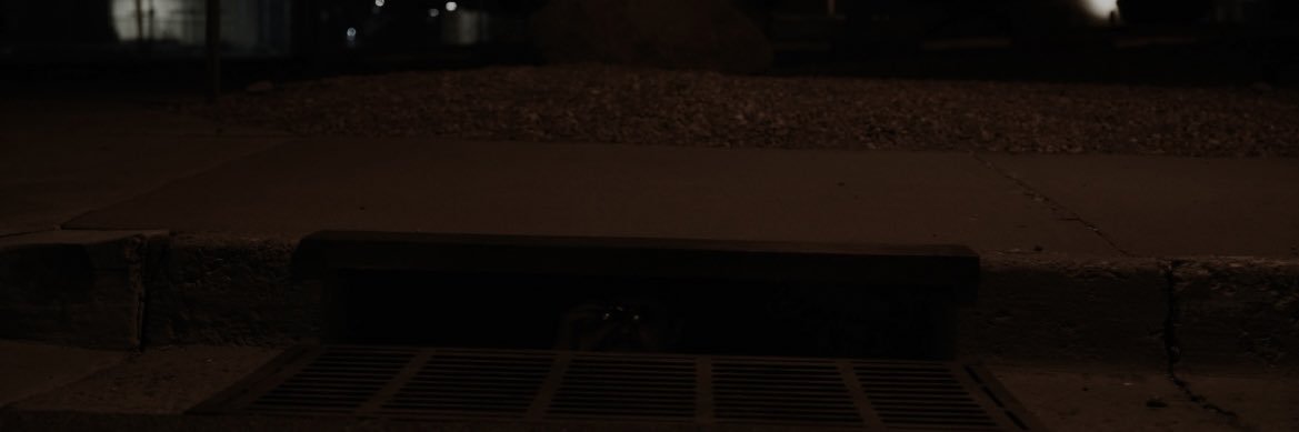 zijr_2's profile banner image