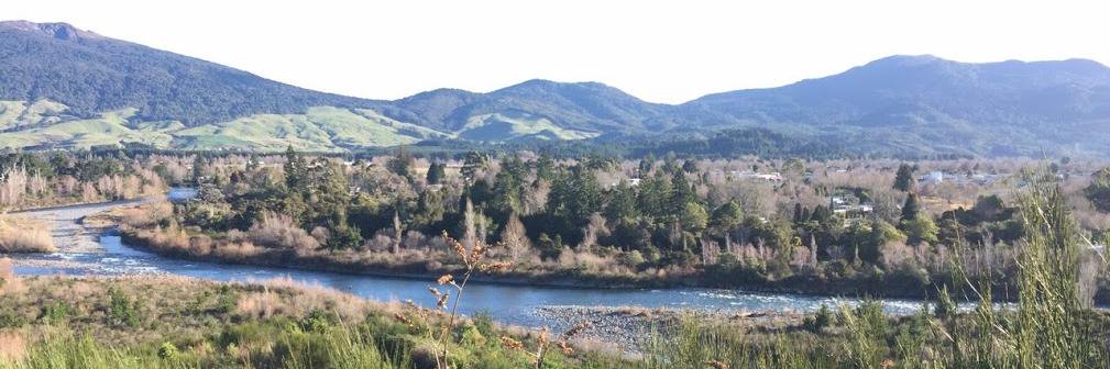 Emily Hartmann banner