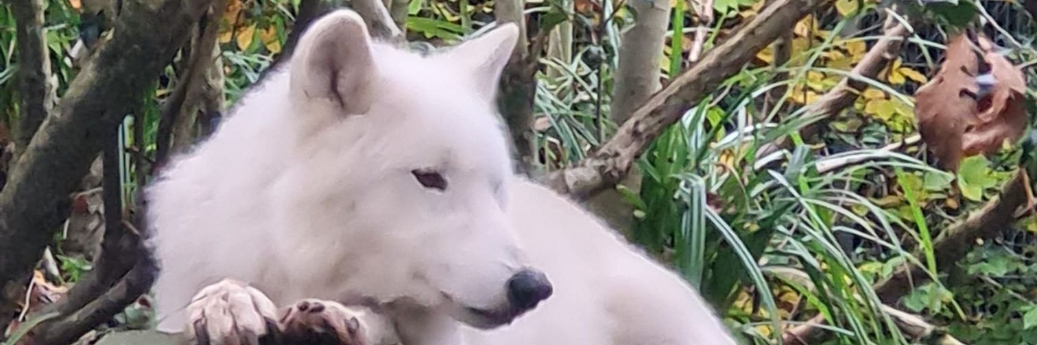 CathyPless21620's profile banner image