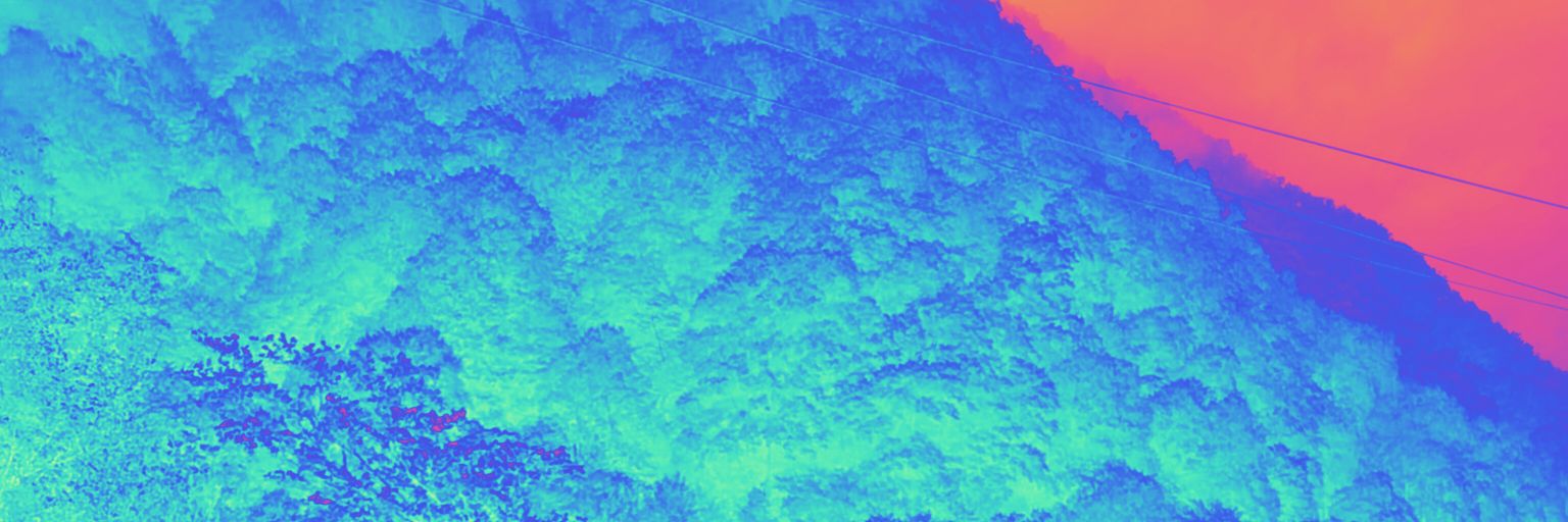 TWligh banner