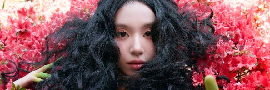 chaeywild🏰 banner