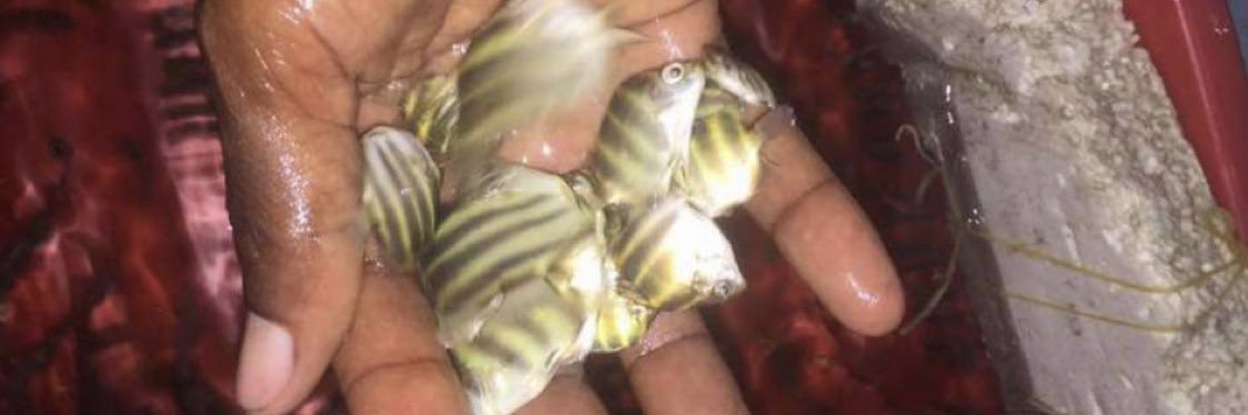 Bethy❤️ Ajayi banner