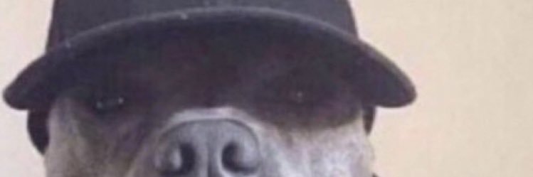 Mezmerized's profile banner image