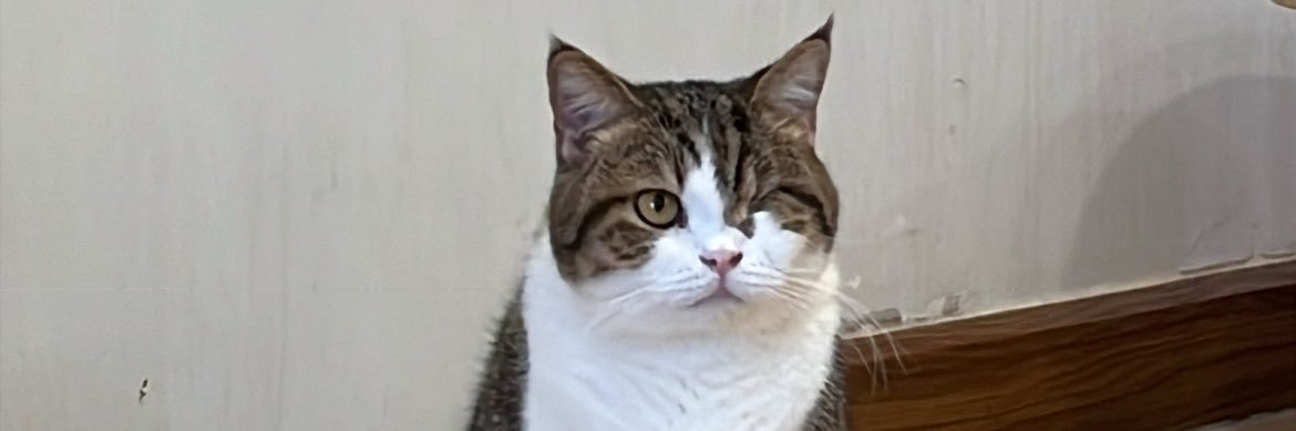 Sleepycat_56's profile banner image