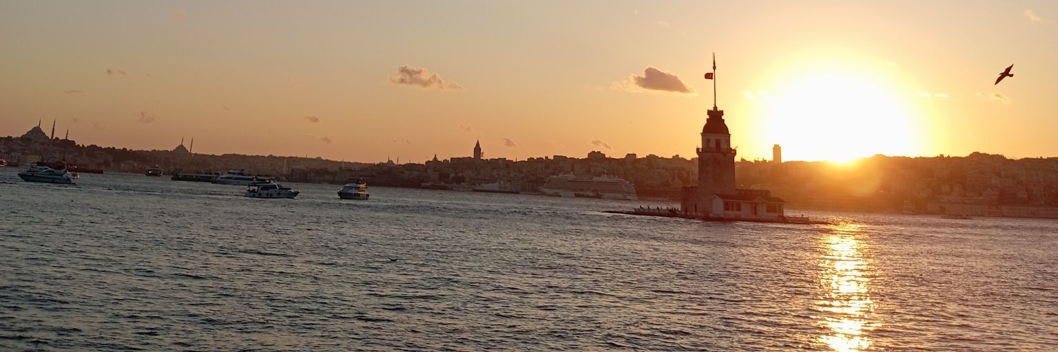 elif💫 banner