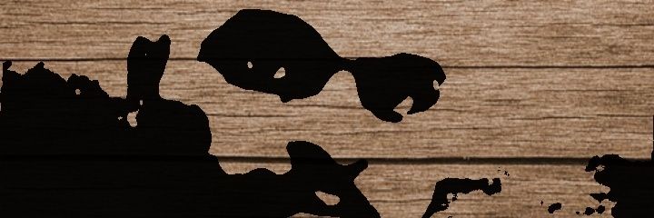 Rahsed1982's profile banner image