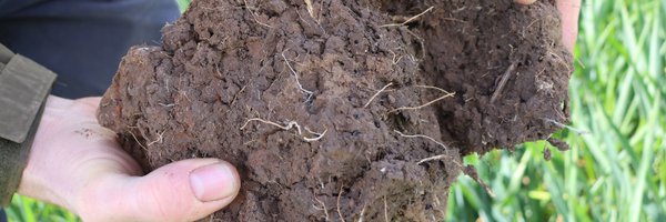 _truth_project Profile Banner