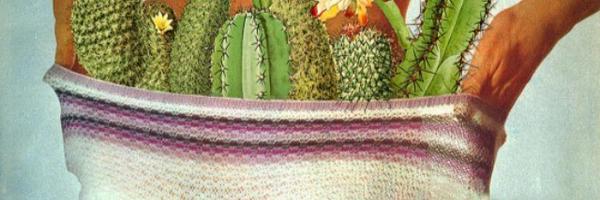 mapatilla Profile Banner