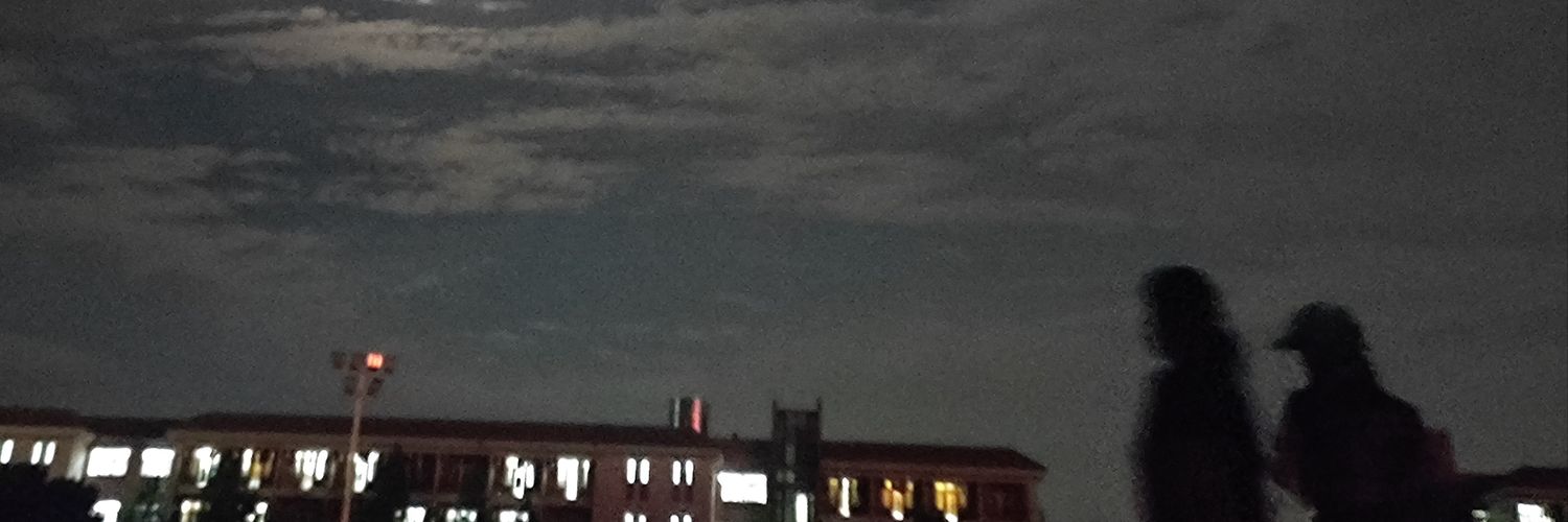 我不是宋宋 banner