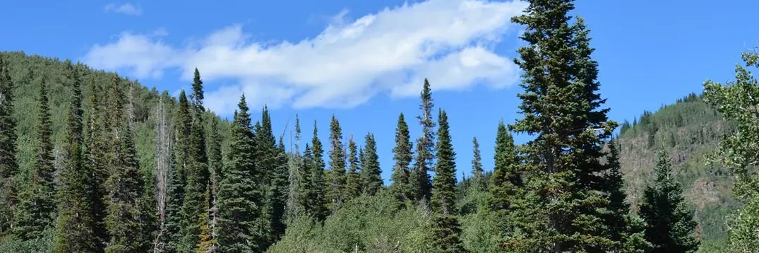 drcwkwack's profile banner image