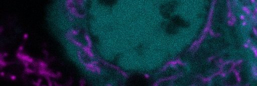 MarkChristian_Lab's banner