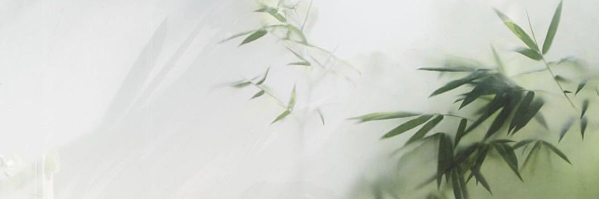shinchatyu's profile banner image