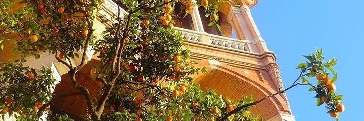 ℋ𝑜𝑝𝑒 | C'est la décadence hein. banner