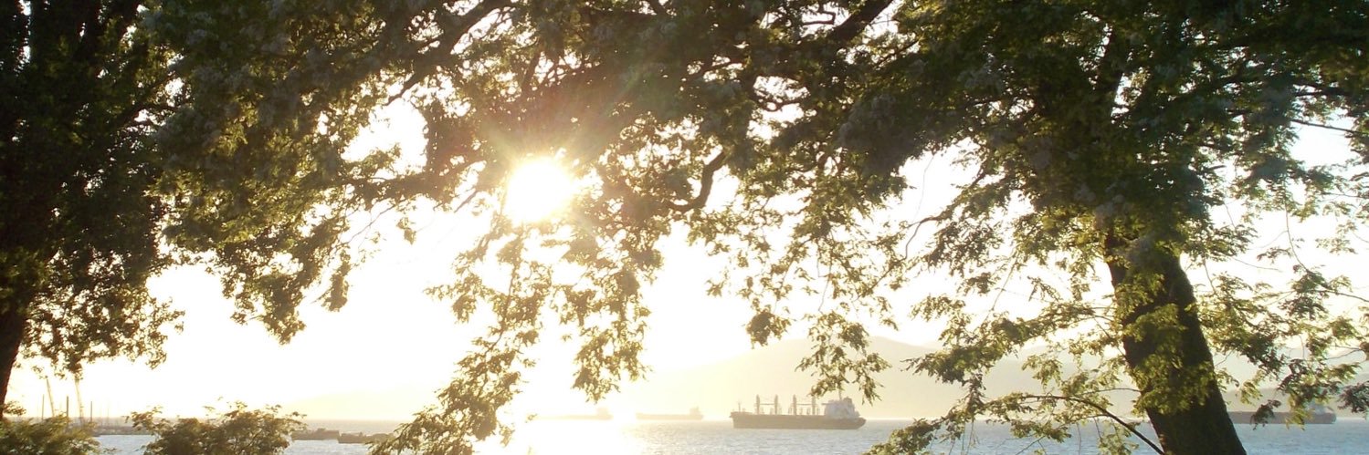 sheffield ⋆ ˚｡⋆୨୧˚ banner