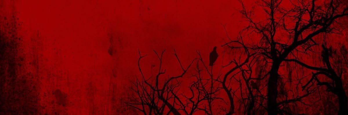 dusksbringer's profile banner image