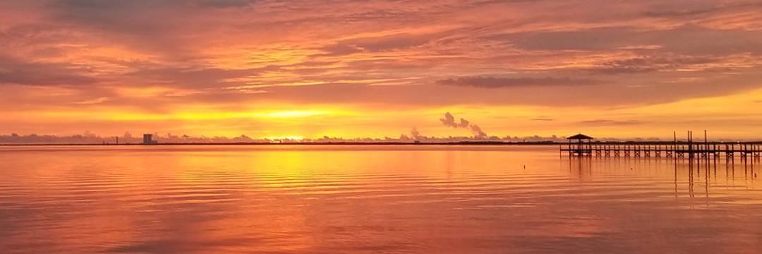 Jon McBride 🌴 banner