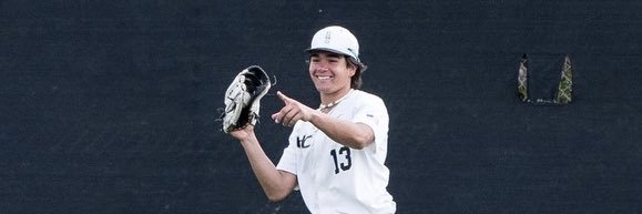 Nicholas boldt banner