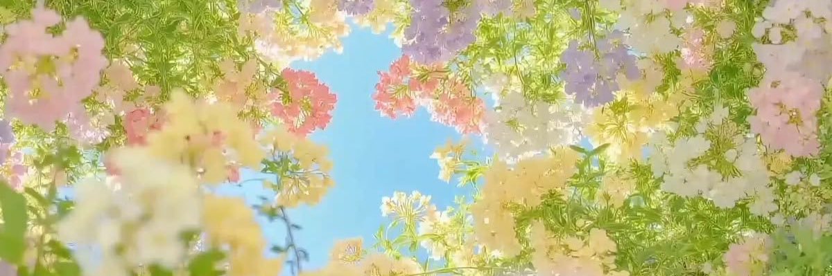 mimieedee's profile banner image