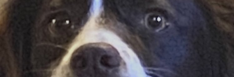 COCOGODTHANKS's profile banner image