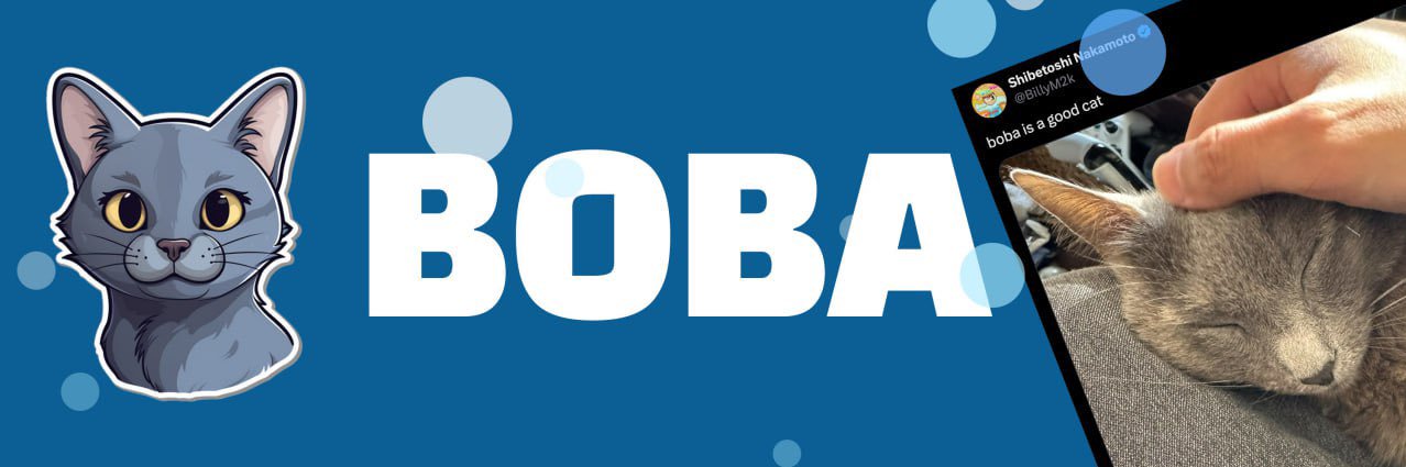 BOBA - Dogecoin’s Founder Cat banner