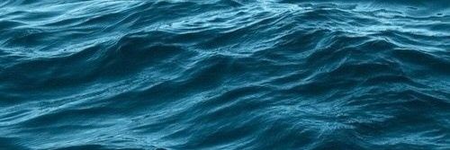 𝑺𝑯𝑨𝑹𝑲🦈 banner