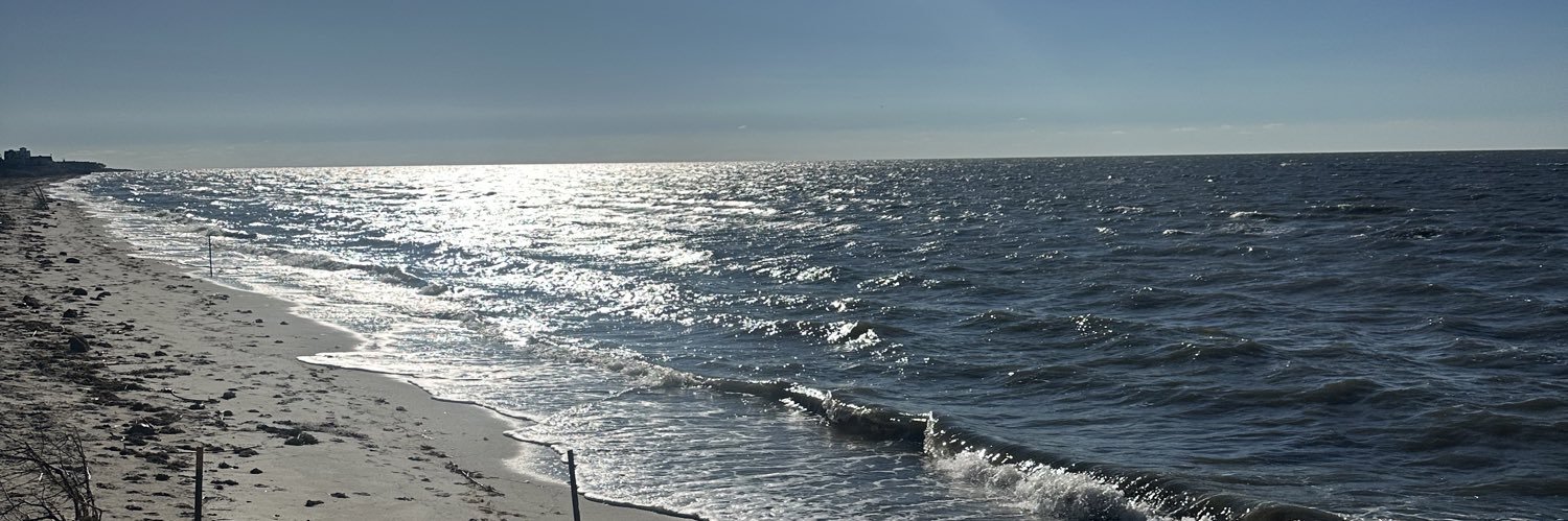 Matt Petrillo banner