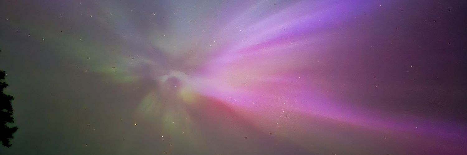 limedragonsoda's profile banner image