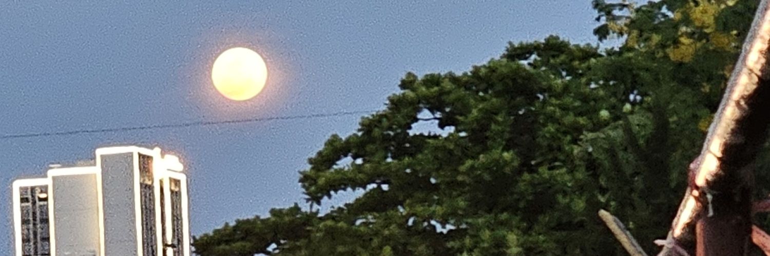 Xamanek666's profile banner image