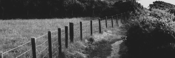 eve banner