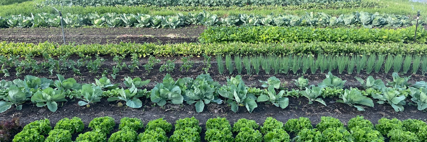 Growing Resilience Permaculture banner