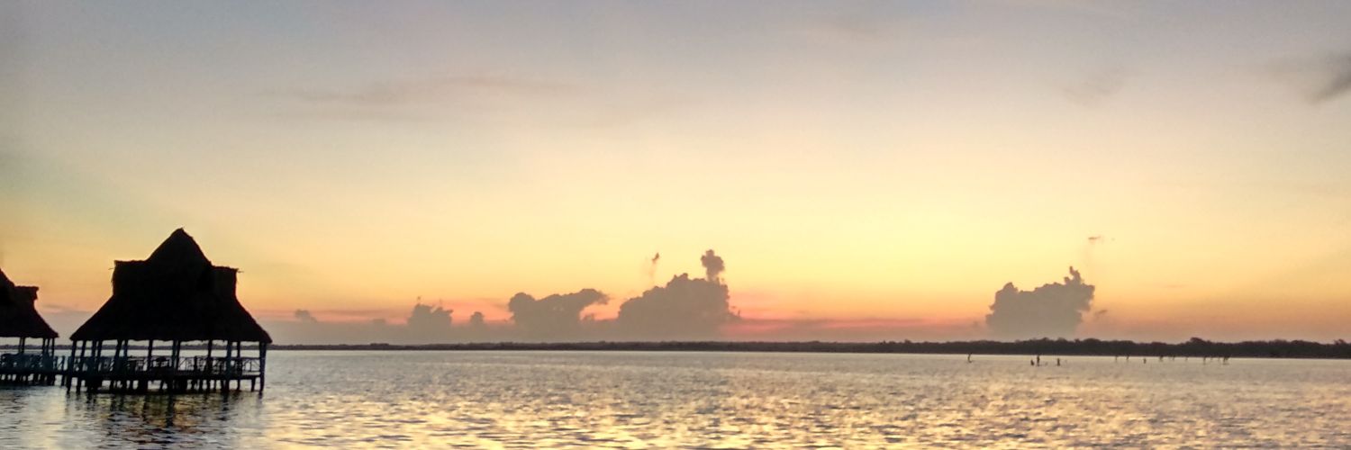 amgam94's profile banner image
